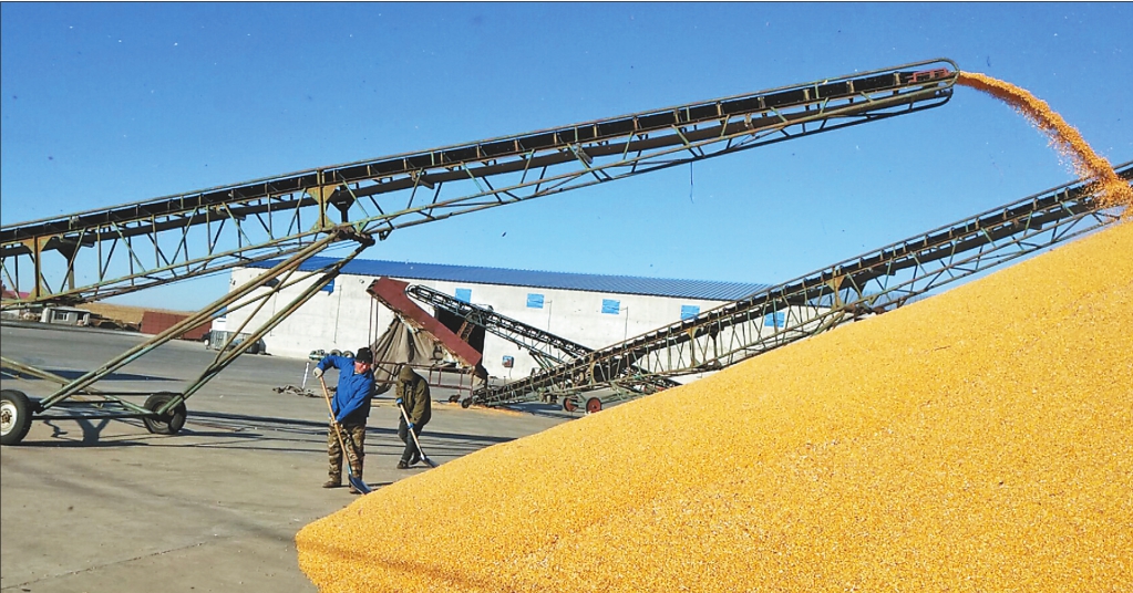 齐齐哈尔农业生产总值实现332亿元