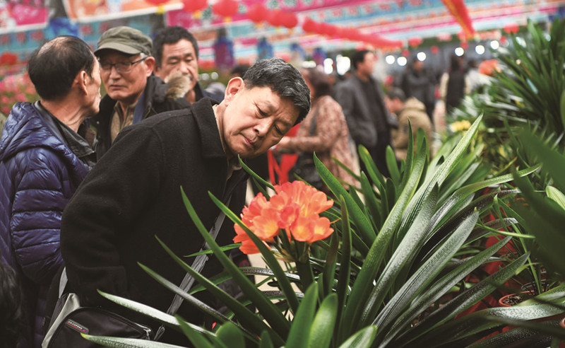 第十五届中国·长春君子兰节开幕